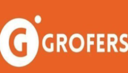 grofers-1-1-1-300x150